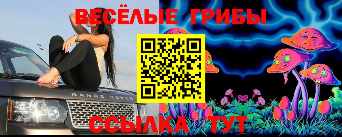 Галлюциногенные грибы MAGIC MUSHROOMS  Вход с VPN  Грязи  Псилоцибиновые грибы Cubensis 