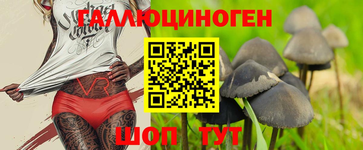Псилоцибиновые грибы Psilocybe Грязи